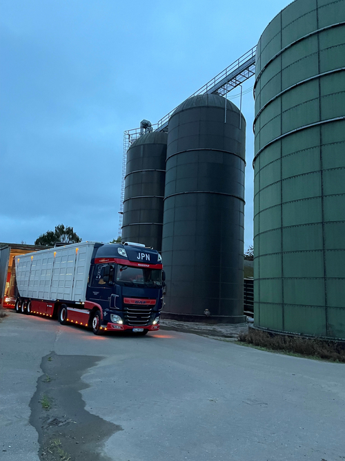 Wir organisieren, planen und führen Viehtransporte im nationalen & internationalen Güterverkehr 